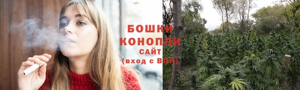 ПСИЛОЦИБИНОВЫЕ ГРИБЫ Верхнеуральск