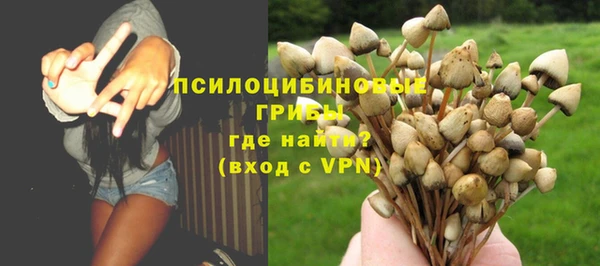стаф Верхний Тагил