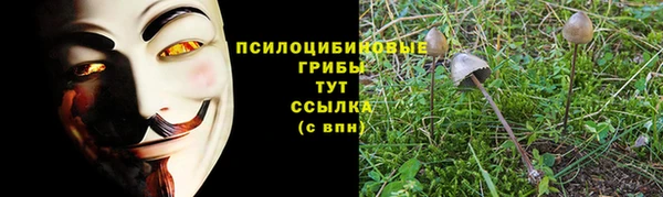 ешки Волосово